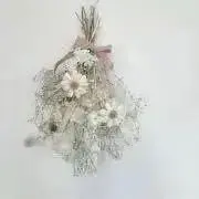 ゆくまるの画像
