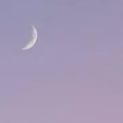 ひよ子