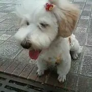 ＊花＊