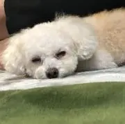 K☆I