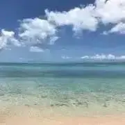 ぴっちゅ