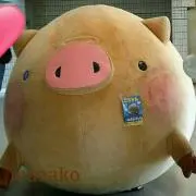 maaako