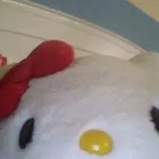 ちゃまの画像