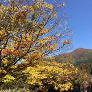 ririmamaの画像