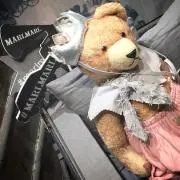 meigaの画像