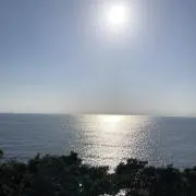 SUN ☀︎プロフ必読☀︎