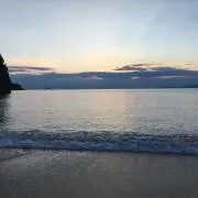 のりまきの画像