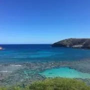 moの画像