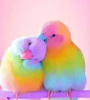 ツム