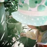 さーの画像