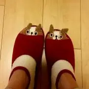 グレン