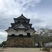 Fujiの画像