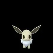 ラベンダーの画像