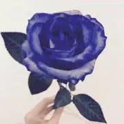 hossonnの画像
