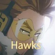 Hawksの画像