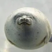 ＊koko＊