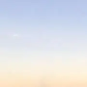 ぴよぽの画像
