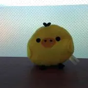 Kayokoの画像