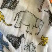 RAnの画像