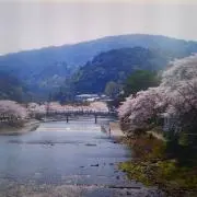 Image of のぶ