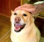 サリーちゃんの画像