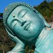とく丸 (プロフィール必読)