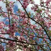 ☆あらき☆の画像