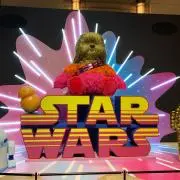 suzuの画像
