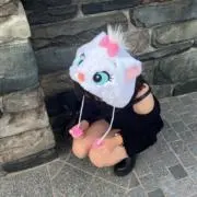 ゆっさんの画像