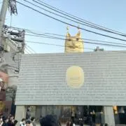 さらの画像