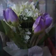 デイビス