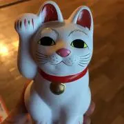 ysの画像