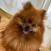 ミエール