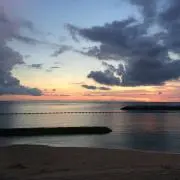 こーの画像