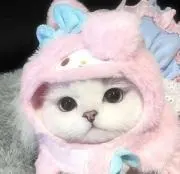 ももの画像