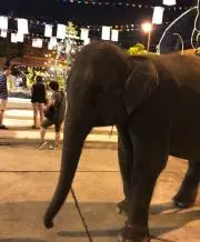 さんぽ