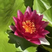 匠