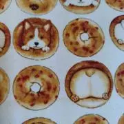 とん＆ぴー＆わんの画像