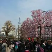 まきの画像