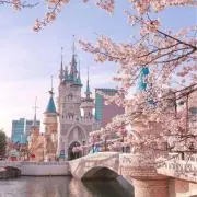 sakurakoの画像