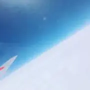 ハナの画像