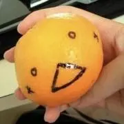 塩みかんの画像