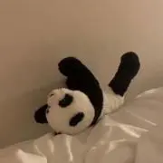rmの画像