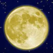 サチヲ