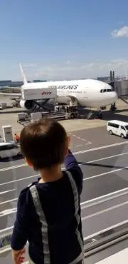 15日以降発送停止 ちゃみのすけの画像