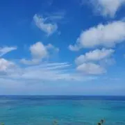 hirohiroの画像