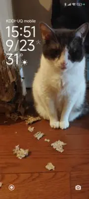 うさ