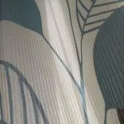 傘