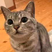 りょう