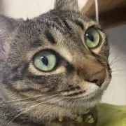 はるっちの画像